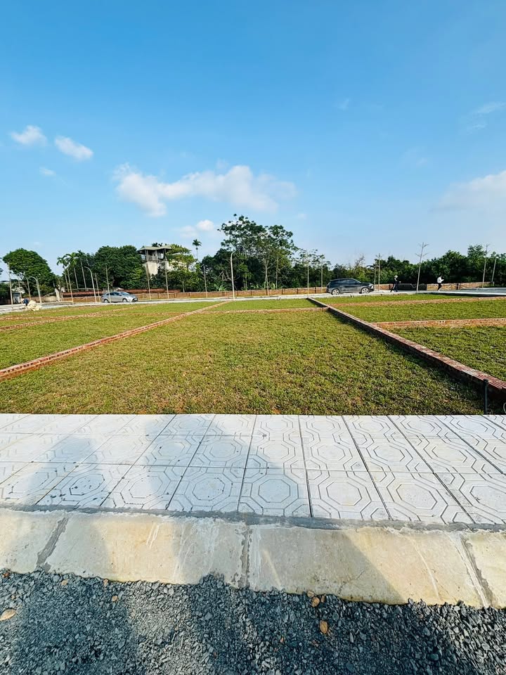 Đất thổ cư 100m² thôn 6 Hòa Lạc giá chỉ 2 tỷ - Cơ hội đầu tư hấp dẫn!