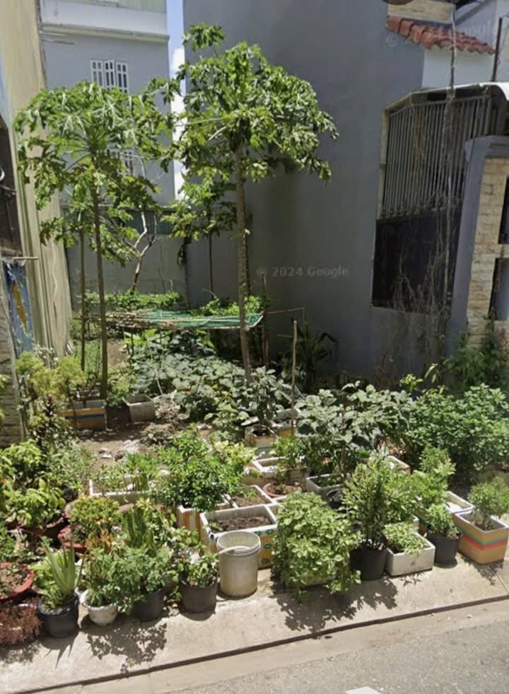 Đất nền KDC An Phú Tây Bình Chánh 100m² giá 4.2 tỷ - Đầu tư sinh lời ngay!