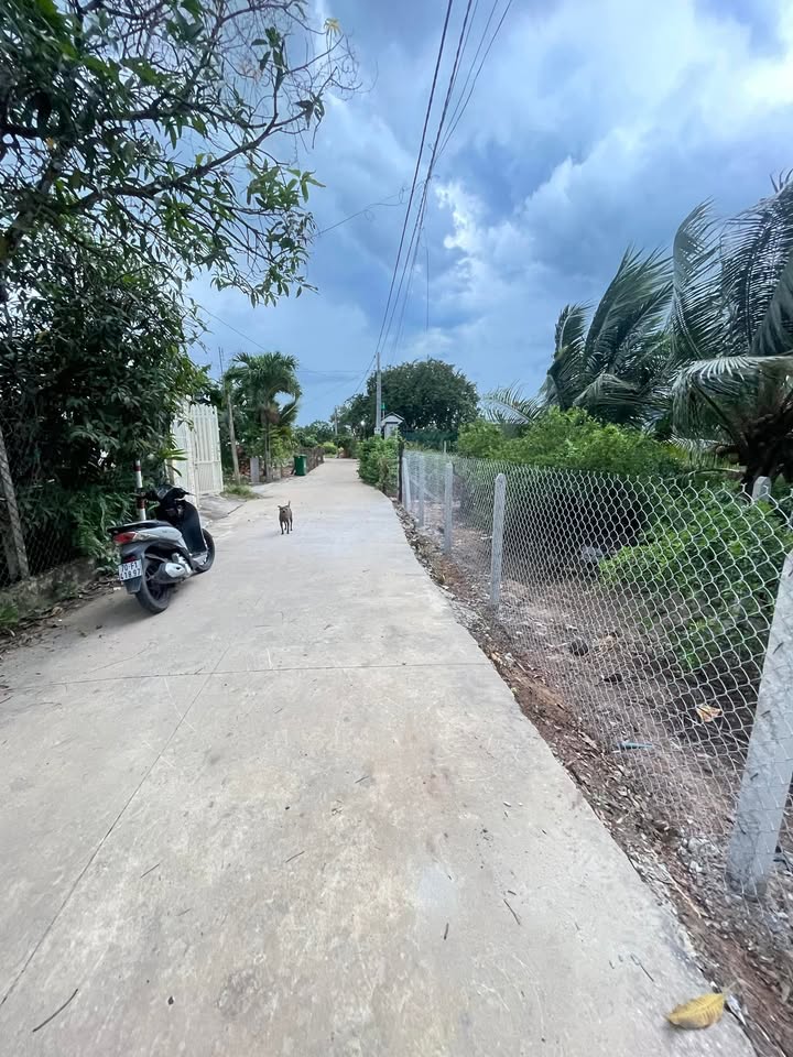 Đất nền Gò Dầu Tây Ninh 1000m² - Đường xe hơi vào tận nơi!