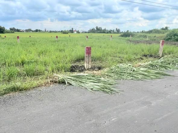 Đất nền mặt tiền nhựa Bình Phú, Gò Công Tây, Tiền Giang 180m² giá 410 triệu - Đầu tư sinh lời ngay!