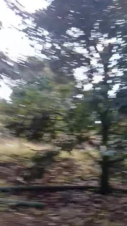 Farm Hòa Bắc 1ha sầu riêng giá 6.7 tỷ - Đầu tư sinh lời ngay!