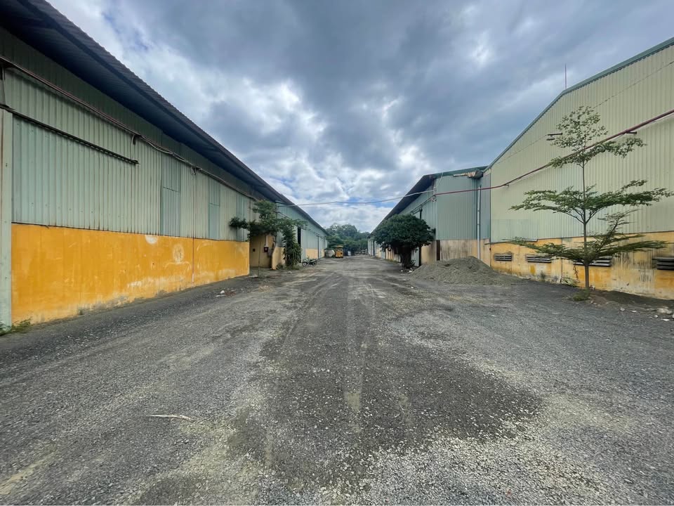 Cho thuê kho xưởng 2600m² đường Trần Phú, Nha Trang - Vị trí đắc địa, giá tốt!