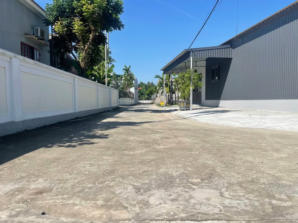 Đất Nền Tân Phong 98.9m² giá 1.35 tỷ - Đầu tư sinh lời tuyệt vời!