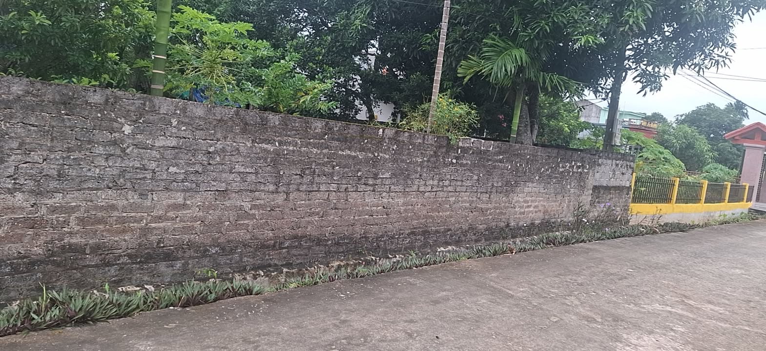 Đất nền thổ cư Đông Sơn, Tam Điệp, Ninh Bình 182m² - Vị trí đẹp, gần chợ dân sinh!