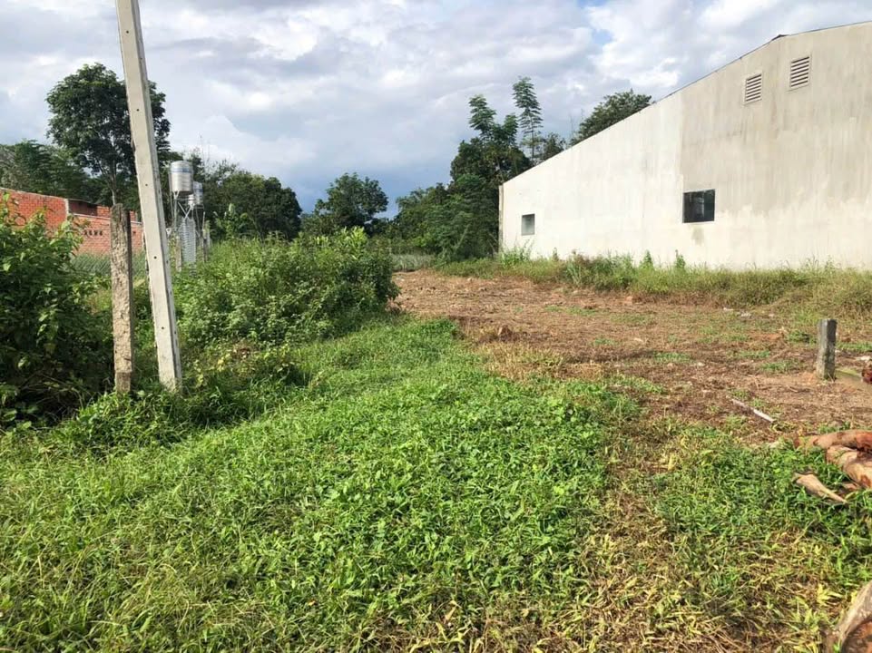 Đất thổ cư Hẻm 13 Trường Đông 165m² giá chỉ 420 triệu - Cơ hội đầu tư hấp dẫn!