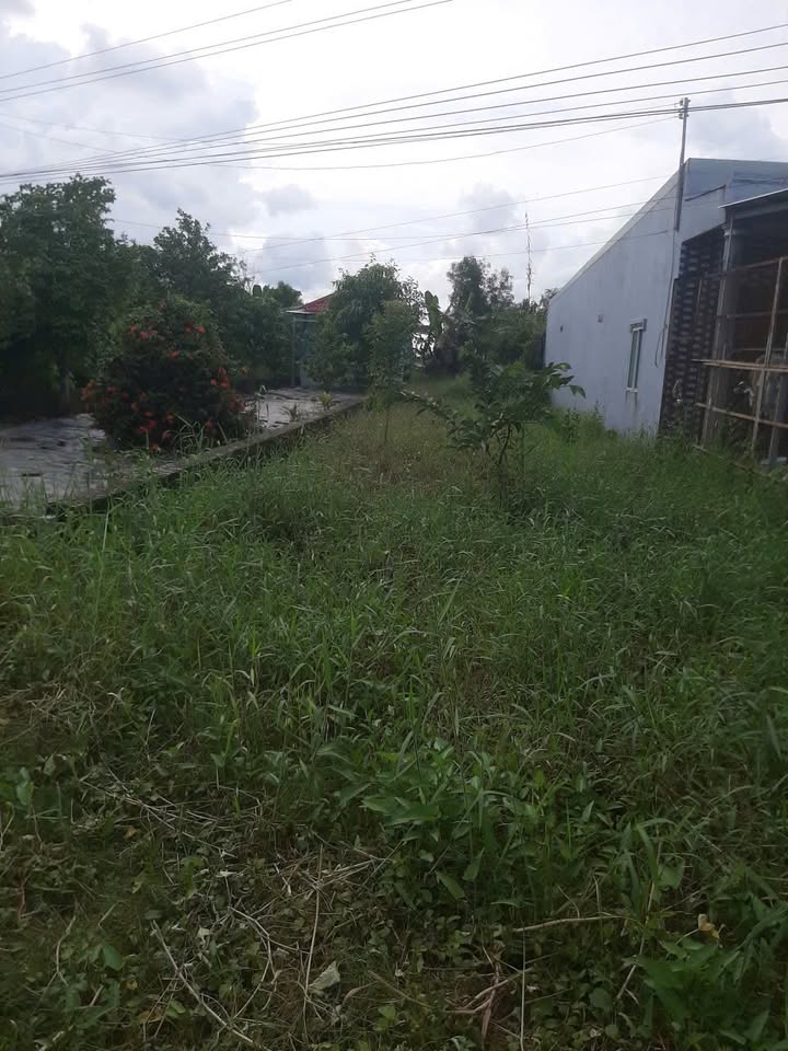 Đất vườn chính chủ Lý Văn Lâm, Cà Mau 196m² giá 650 triệu - Thích hợp nghỉ dưỡng!