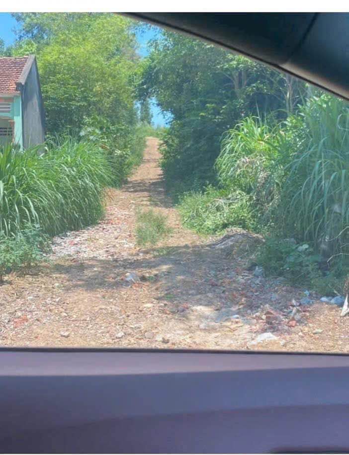 Đất trang trại 8000m² tại chợ Ngọc Mỹ, Lập Thạch - Giá 800 triệu, đầu tư lý tưởng!