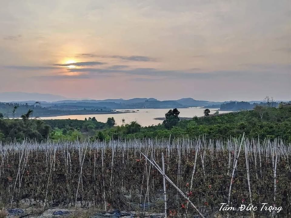 Đất nền Ninh Gia Đức Trọng 7500m² giá 2.325 tỷ - View hồ Đại Ninh tuyệt đẹp!