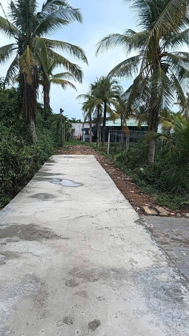 Đất vườn 1.738m² gần Quảng trường TP. Mỹ Tho - Giá 6 tỷ thương lượng!