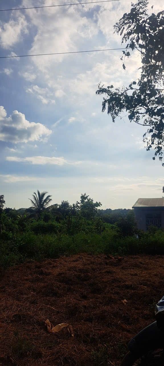 Đất nền Ea Nuôl Buôn Đôn 630m² giá 380 triệu - Đầu tư sinh lời ngay!