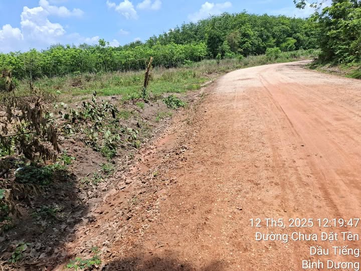 Đất nền thổ cư 700m² xã An Lập - Giá chỉ 3 tỷ, cơ hội đầu tư tốt!