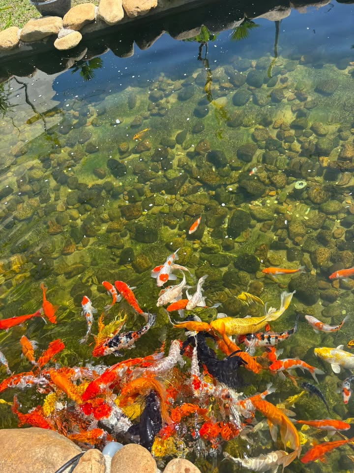 Đất nền Tam Giang, Krông Năng 1400m² giá 550 triệu - Sổ đỏ sẵn, đầu tư sinh lời!