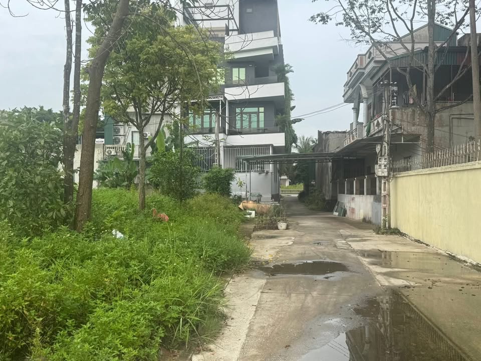 Đất nền Hoằng Quỳ 124m² giá 1.2 tỷ - Cơ hội đầu tư tuyệt vời!