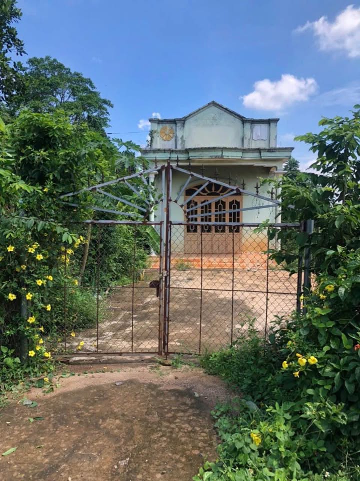 Đất nền Láng Lớn Châu Đức 3063m² giá 5 tỷ - Đầu tư sinh lời ngay!