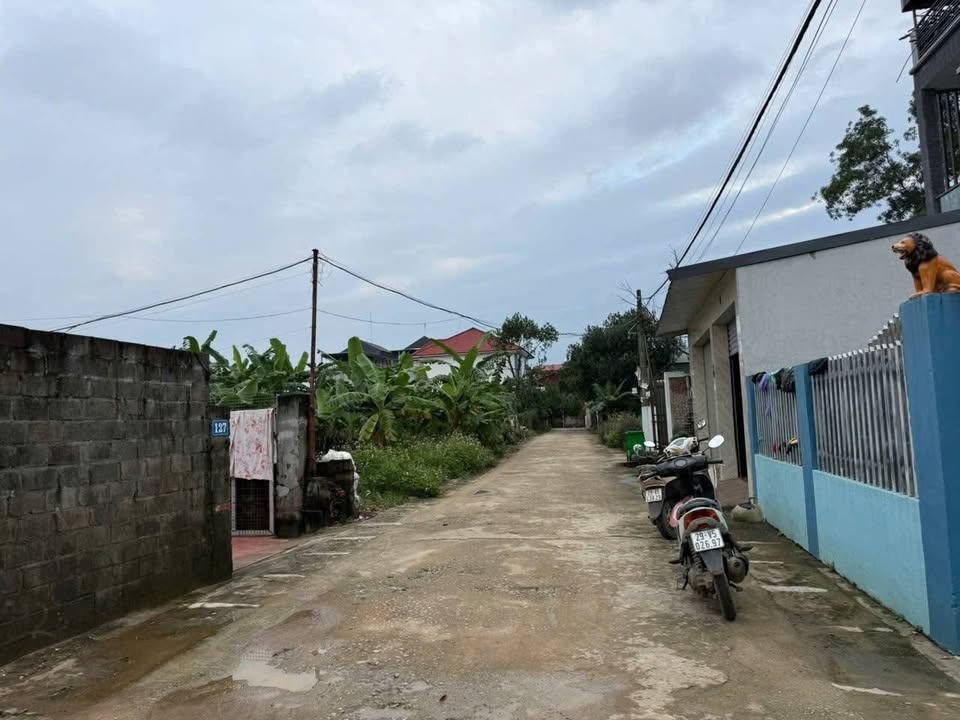 Đất nền Thôn 8 Tân Xã 102m² - Đường thông ô tô tránh nhau, cơ hội đầu tư tiềm năng!