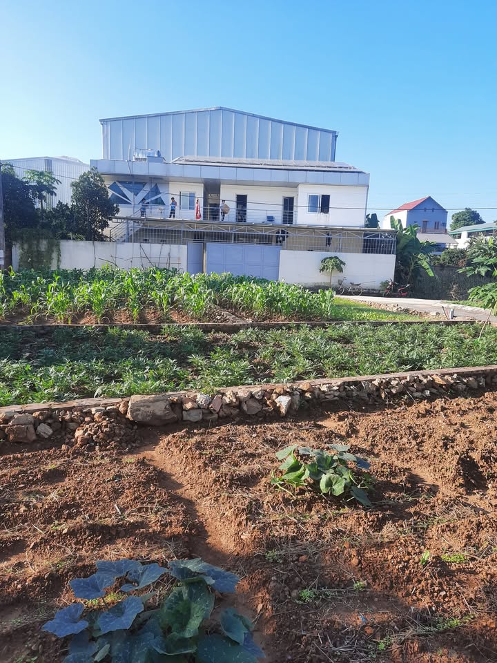 Đất thổ cư lô góc 100m² tại thôn 7 Phú Cát, Quốc Oai - Giá tốt cho đầu tư!