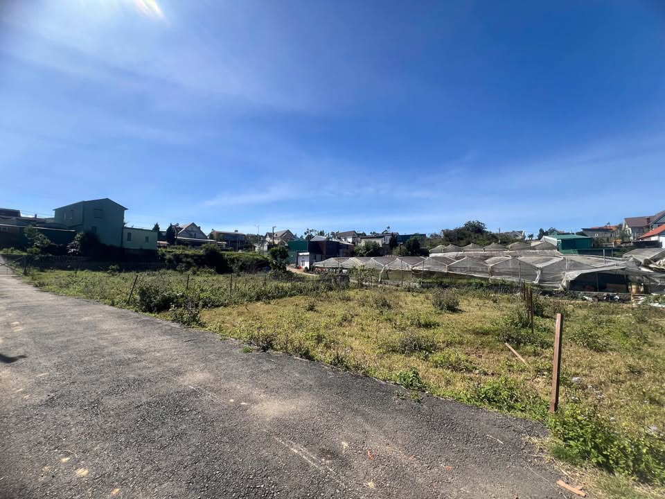 Đất nền Phường Langbiang Đà Lạt 204m² giá 5 tỷ - Pháp lý rõ ràng, đầu tư sinh lời!