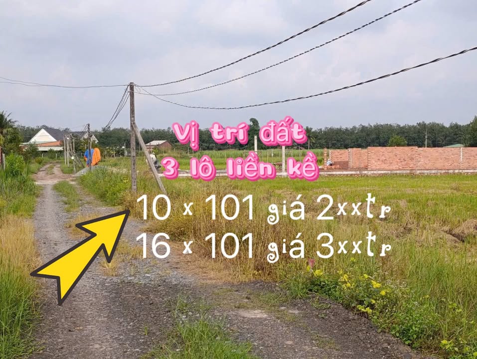 Đất công CLN xã Trà Vong, Tây Ninh 1010m² - Cơ hội đầu tư hấp dẫn!