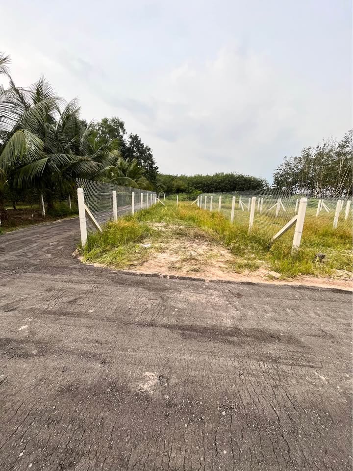 Đất nền 115m² tại ấp Cây Da, Gò Dầu - Giá chỉ 750 triệu - Đầu tư sinh lời ngay!