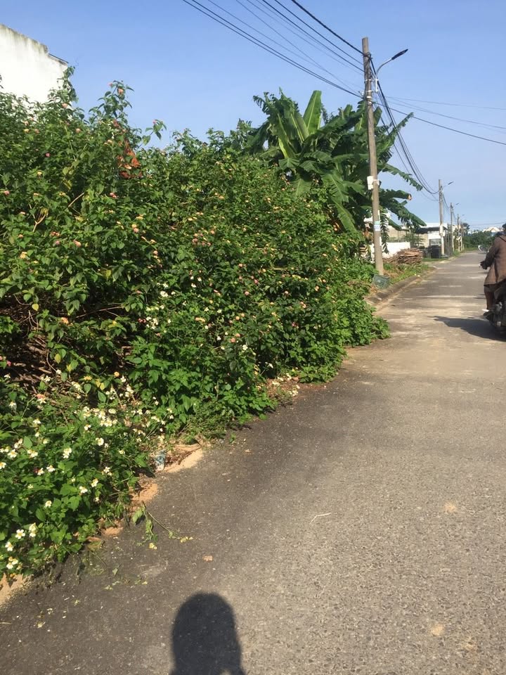 Đất nền Hòa Phú Hòa Vang 120m² giá 1.15 tỷ - Đầu tư sinh lời ngay!