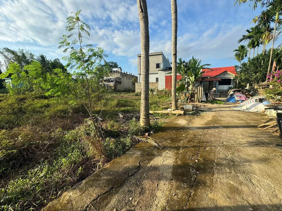 Đất ở đô thị Hòa Xuân Đà Nẵng 121m² giá 1.75 tỷ - Đường lớn, vị trí đẹp!