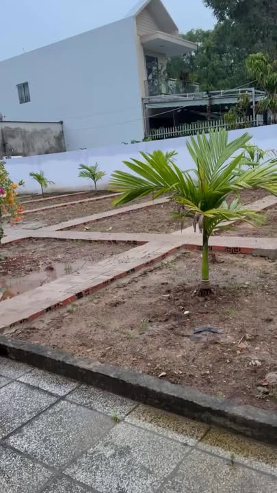 Đất mặt tiền đường nhựa Châu Pha B, Phú Mỹ, 600m², giá 5.5 tỷ - Cơ hội đầu tư tuyệt vời!