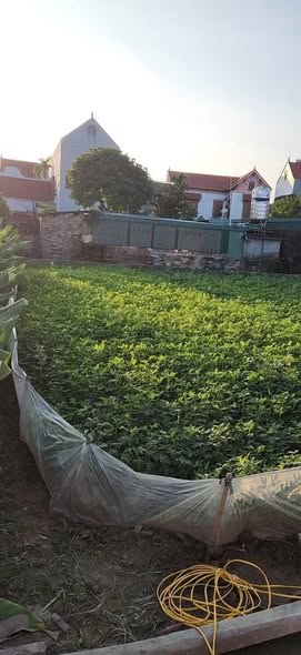 Đất nền 800m² tại Đại Hưng, Khoái Châu - Cơ hội đầu tư sinh lời