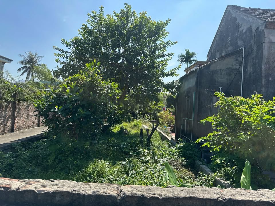 Đất nền 94m² xã Đại Đồng, Kiến Thụy - Giá chỉ 2 tỷ - Cơ hội đầu tư tuyệt vời!