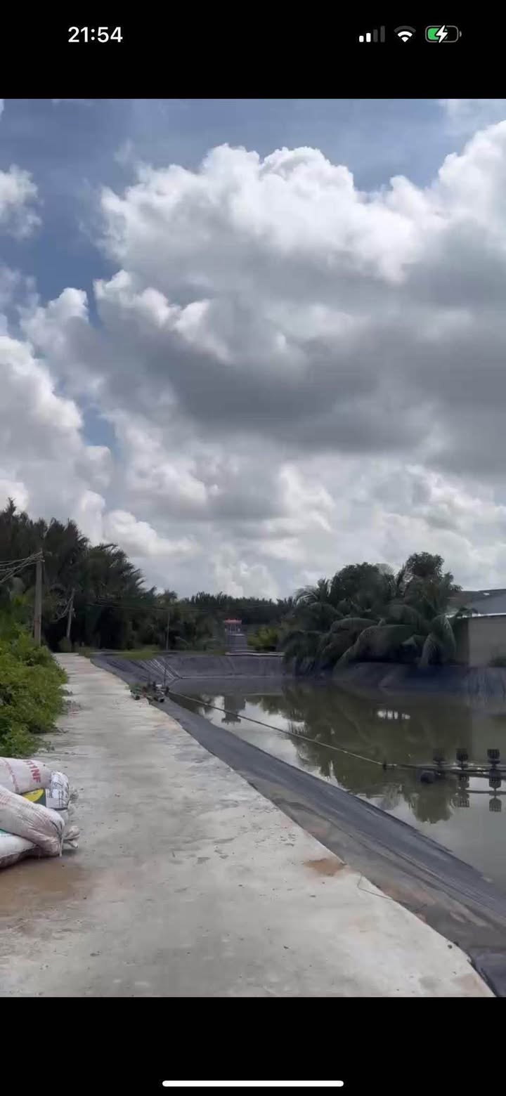 Đất nông nghiệp 8944m² tại Tân Chánh, Cần Đước - Giá 2.2 tỷ thương lượng!