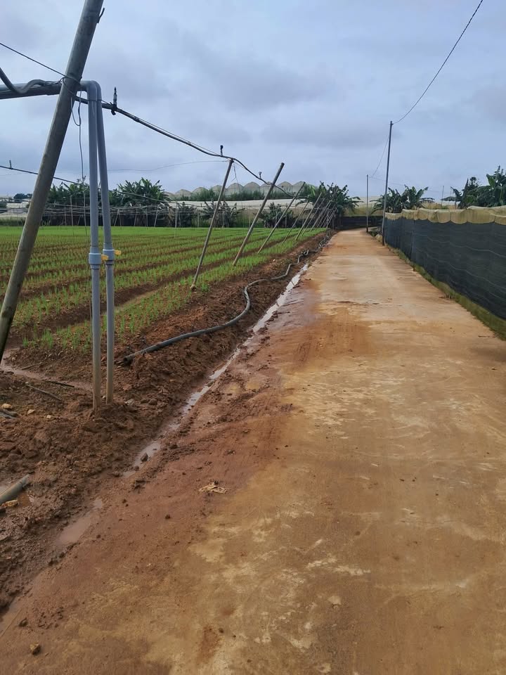 Đất 5 sào tại xã Ka Đô, Đơn Dương, Lâm Đồng giá 5 tỷ - Pháp lý rõ ràng!