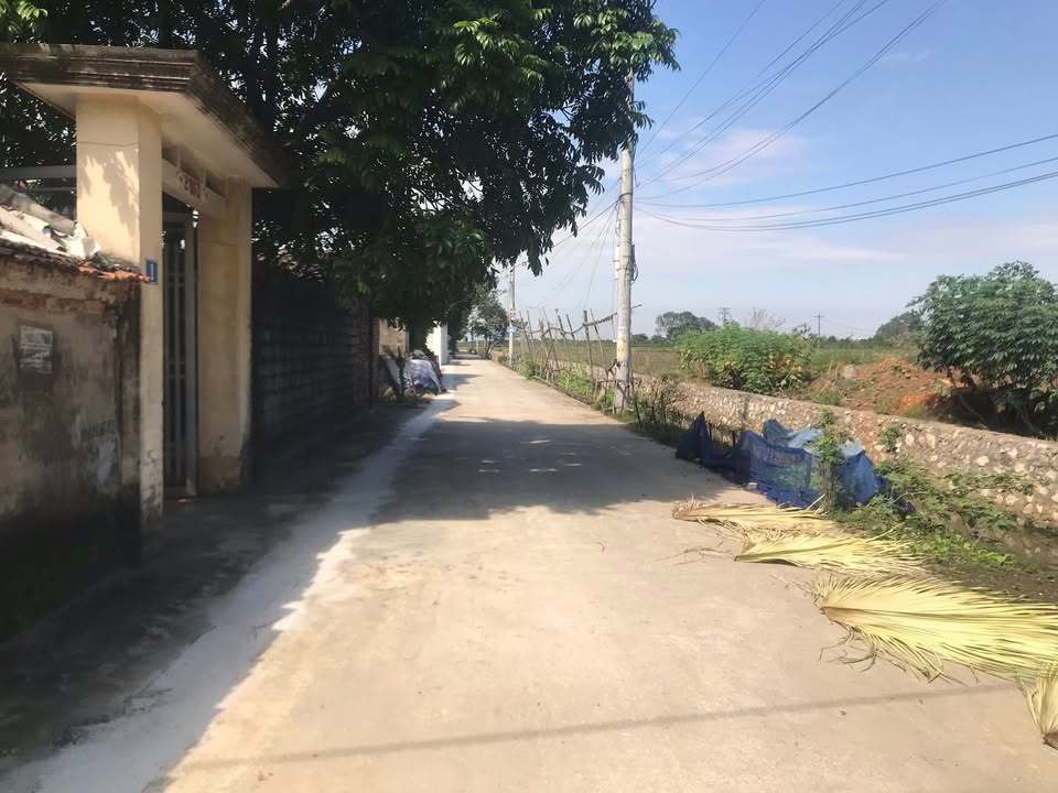 Đất nền Tân Ước, Thanh Oai 80m² giá thỏa thuận - Ô tô đỗ cửa thuận lợi!