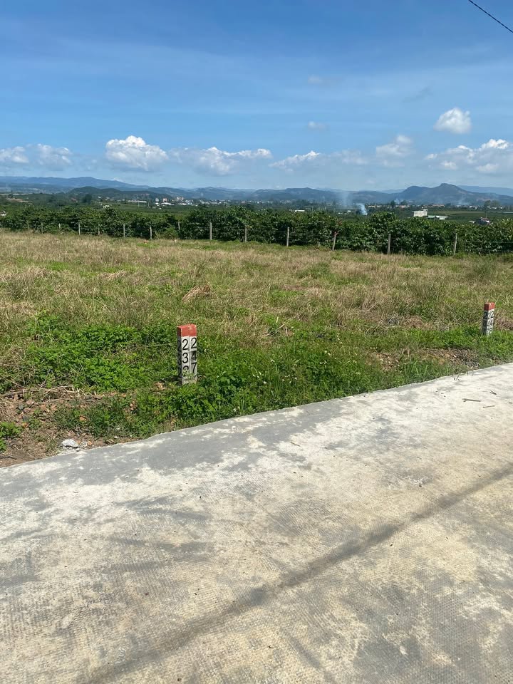 Đất nền Tân Văn Lâm Hà 150m² giá 269 triệu - Cơ hội đầu tư tuyệt vời!