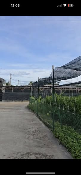 Kho xưởng cho thuê tại Vĩnh Phương, Nha Trang 4000m² - Xe container vào tận nơi!