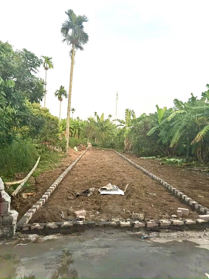 Đất nền phường Thiên Hương 98m² giá 1.05 tỷ - Đường thông thoáng, phù hợp đầu tư