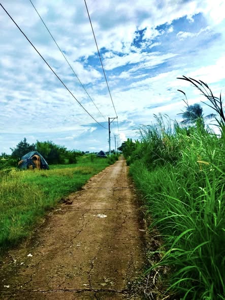 Đất nền Tân Điền Gò Công Đông 120m² giá 280 triệu - View kênh mát mẻ gần biển!