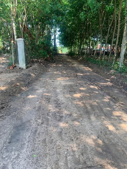 Đất thổ cư Hảo Đước, Tây Ninh 175m² giá 150 triệu - Cơ hội đầu tư hấp dẫn!