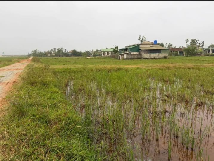 Đất thổ cư Thạch Đài 92m² giá chỉ 600 triệu - Đầu tư sinh lời ngay!