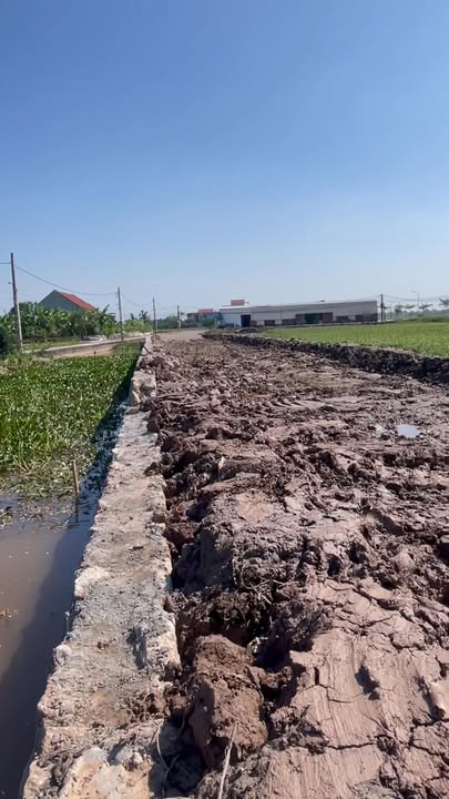 Đất nền xóm Địch Giáo Tây, xã Giao Tân, 100m² - Cơ hội đầu tư tuyệt vời!