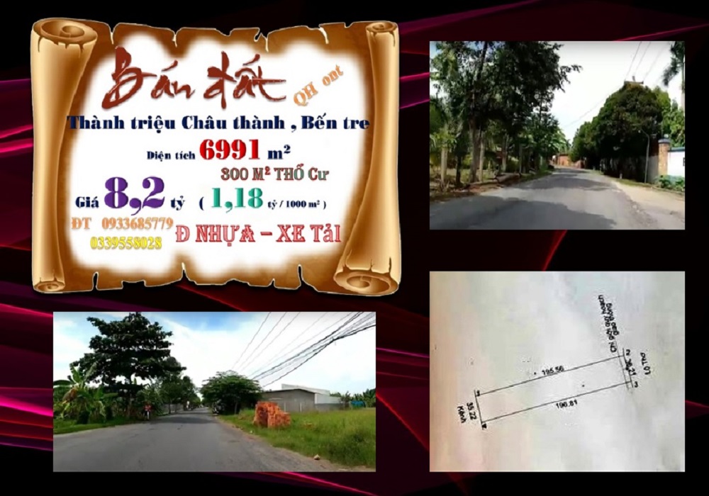 Đất nền Thành Triệu, Châu Thành, Bến Tre 6991m² giá 8.2 tỷ - Đầu tư sinh lời ngay!