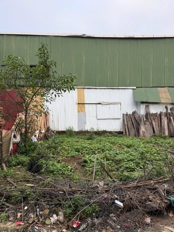 Đất thổ cư Yên Lạc 70.9m² - Vị trí đẹp, giá đầu tư hấp dẫn!