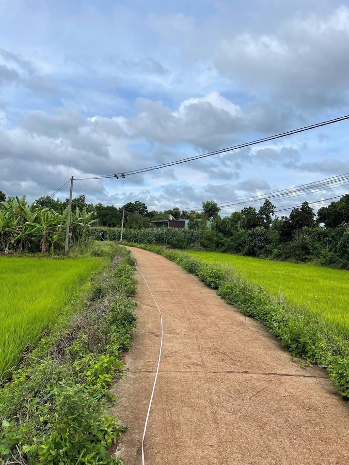 Đất thổ cư Cư M'gar 200m² giá 2 triệu/m² - Cơ hội đầu tư tuyệt vời!