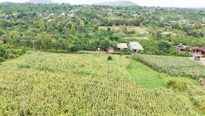 Đất thổ cư 60m² Thôn 2 Ea Kiết Cư M'gar 2900m² - Giá chỉ 2.5 tỷ!