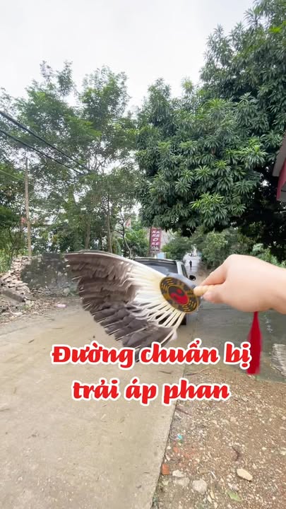 Đất nền chính chủ tại Tam Điệp 162m² - Giá thỏa thuận hấp dẫn!