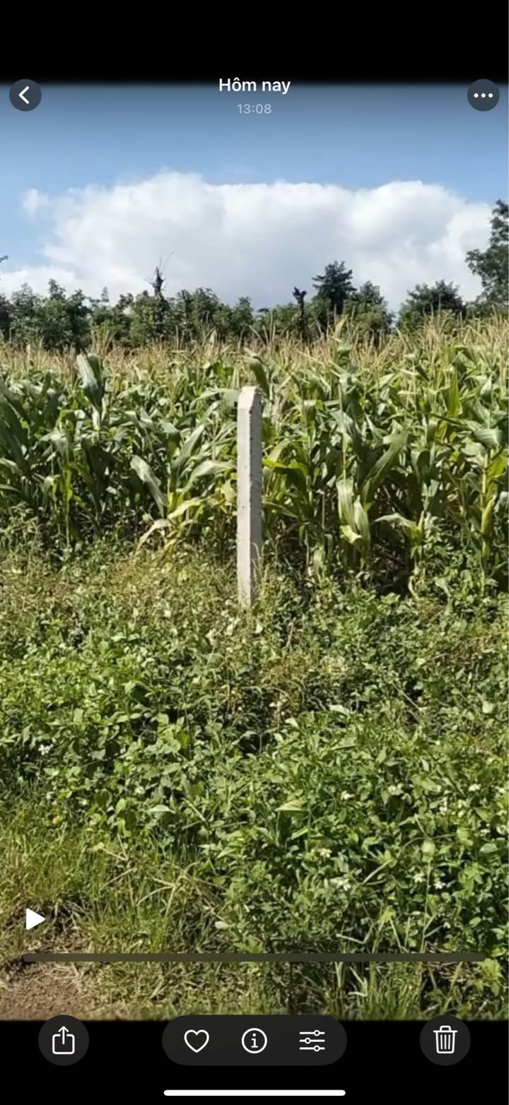 Đất nền 500m² phường Cư Êbur giá chỉ 299 triệu - Sổ đỏ chính chủ