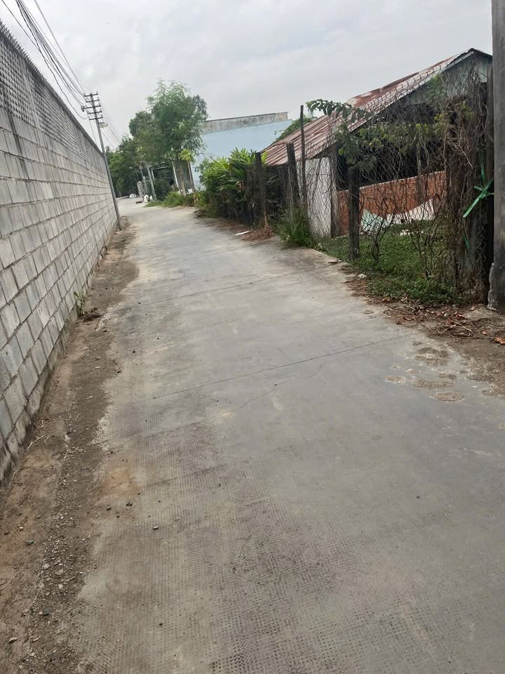 Đất lúa 1064m² tại Phước Hậu, Cần Giuộc - Chính chủ bán gấp chỉ 2.2 tỷ!