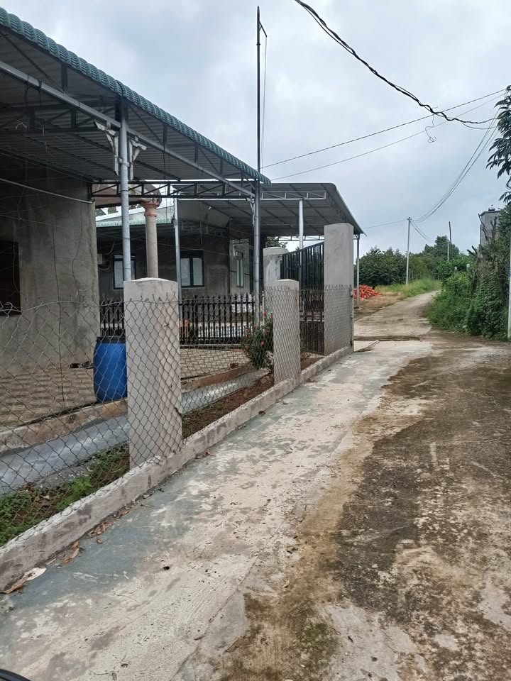 Đất farm Thọ Sơn, Bù Đăng 1,6 ha - Giá thỏa thuận, đầu tư sinh lời!