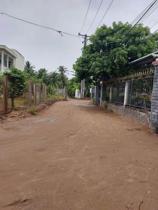 Đất nền 154m² tại Phường Sơn Đông, Bến Tre giá chỉ 650 triệu - Cơ hội đầu tư hấp dẫn!