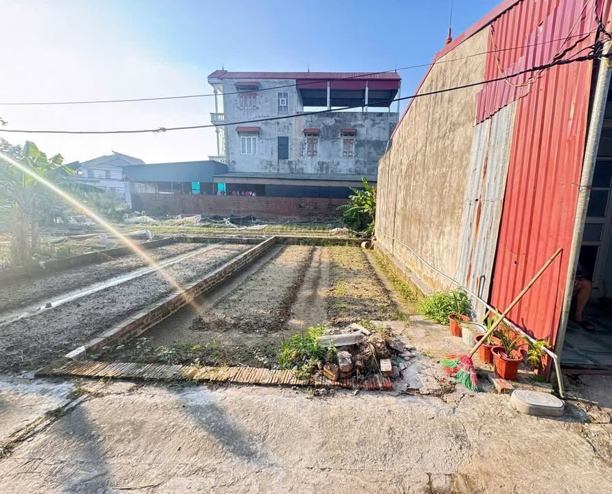 Đất nền Tổ 9 Quang Minh 40m² giá 2 tỷ - Đường ô tô vào tận nơi!