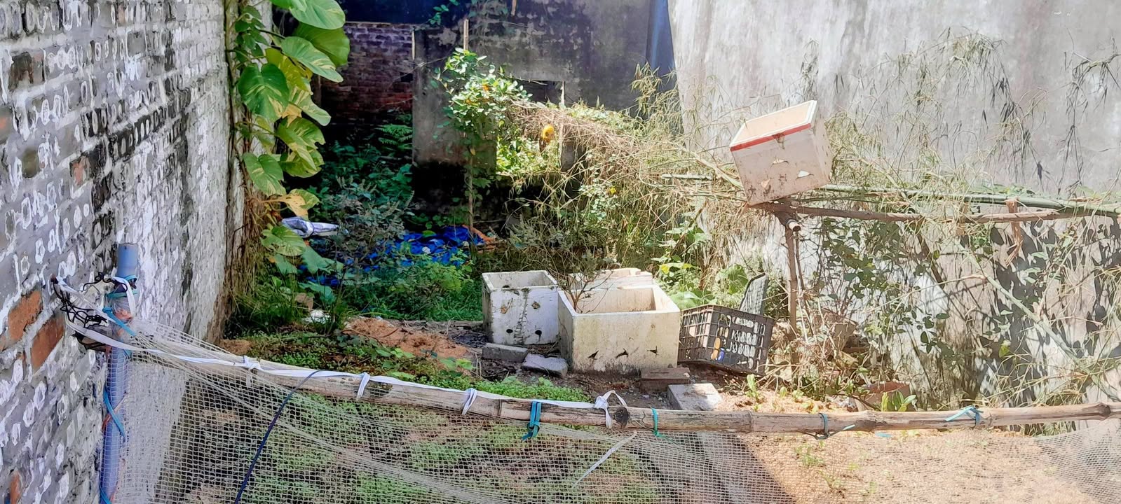 Nhà riêng Kim Chung Đông Anh 54m² giá thỏa thuận - Tiện ích gần trường học