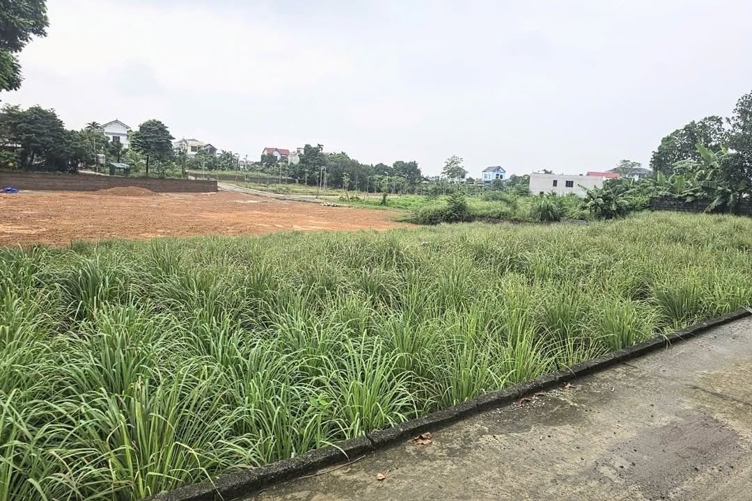 Đất thổ cư 100.3m² tại xã Phú Cát, Quốc Oai - Giá chỉ 2 tỷ, thương lượng ngay!